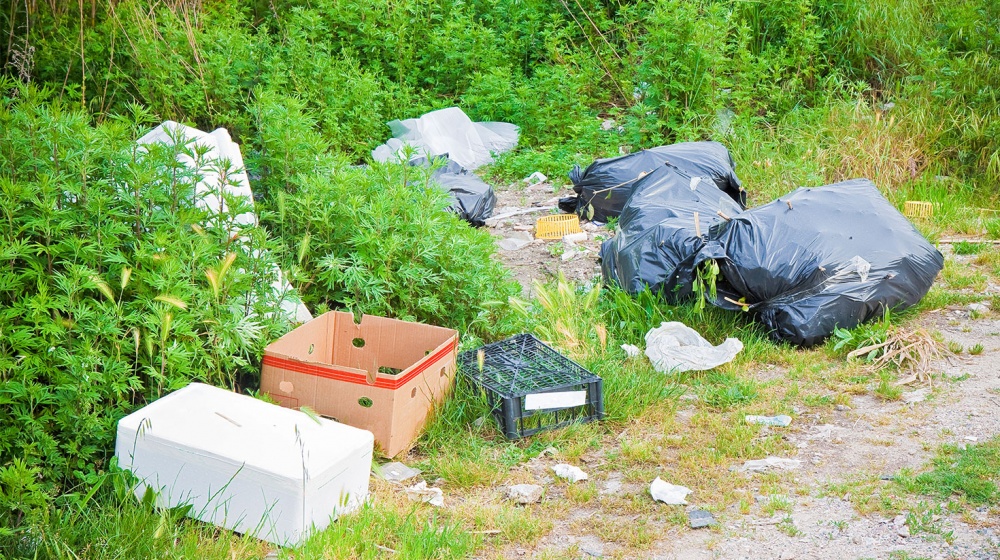 Dépôts sauvages de déchets: les députés créent une amende forfaitaire